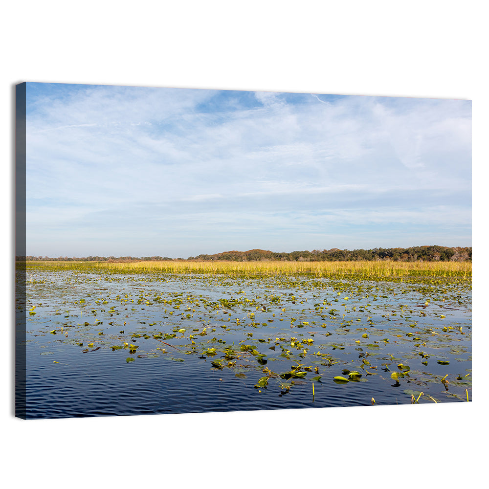 Lake Toho Lily Pads Wall Art, canvas print, landscape