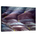 Chamarel Seven Coloured Earths Wall Art
