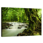 Emerald Rainforest River Wall Art