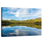 Silver Lake Reflection Wall Art