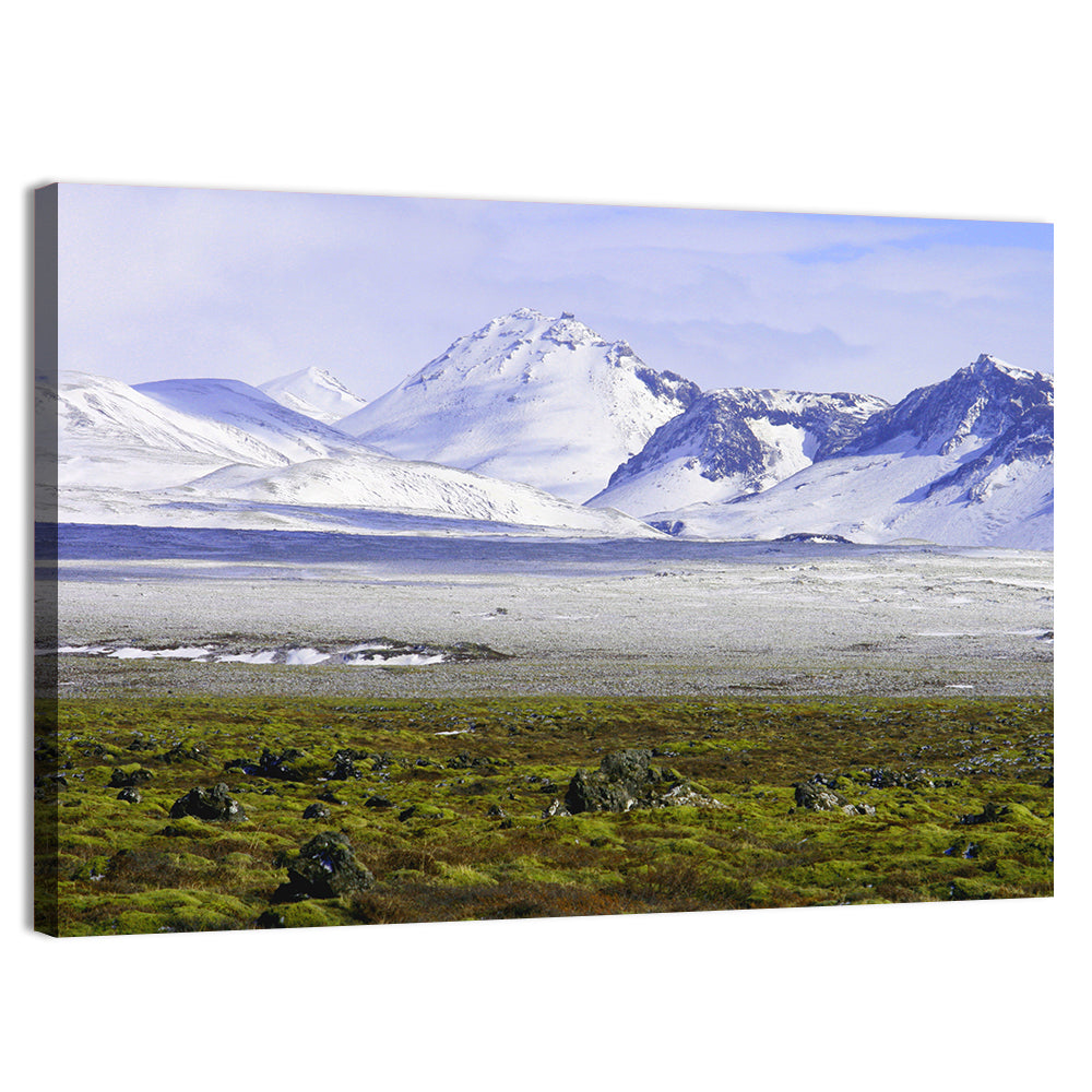 Icelandic Snow and Moss Landscape Wall Art