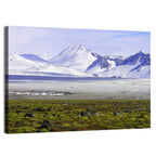 Icelandic Snow and Moss Landscape Wall Art