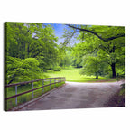 Sunlit Meadow Path Wall Art