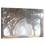 Misty Cypress Tunnel Wall Art