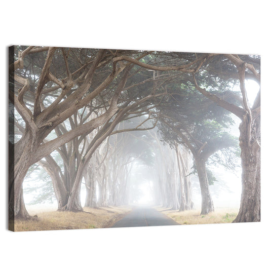 Misty Alley Trees Wall Art