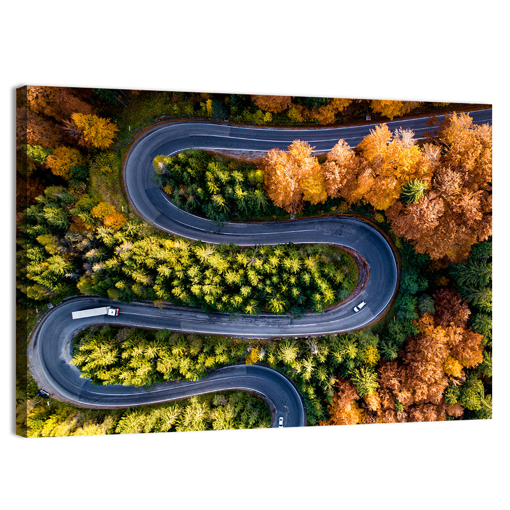 Winding Forest Road Wall Art