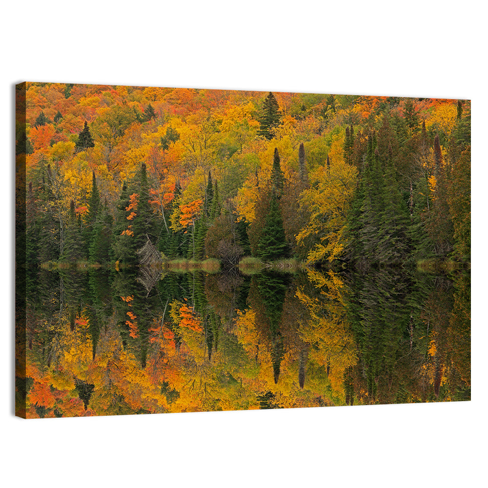 Ottawa National Forest Autumn Reflection Wall Art, canvas print, landscape