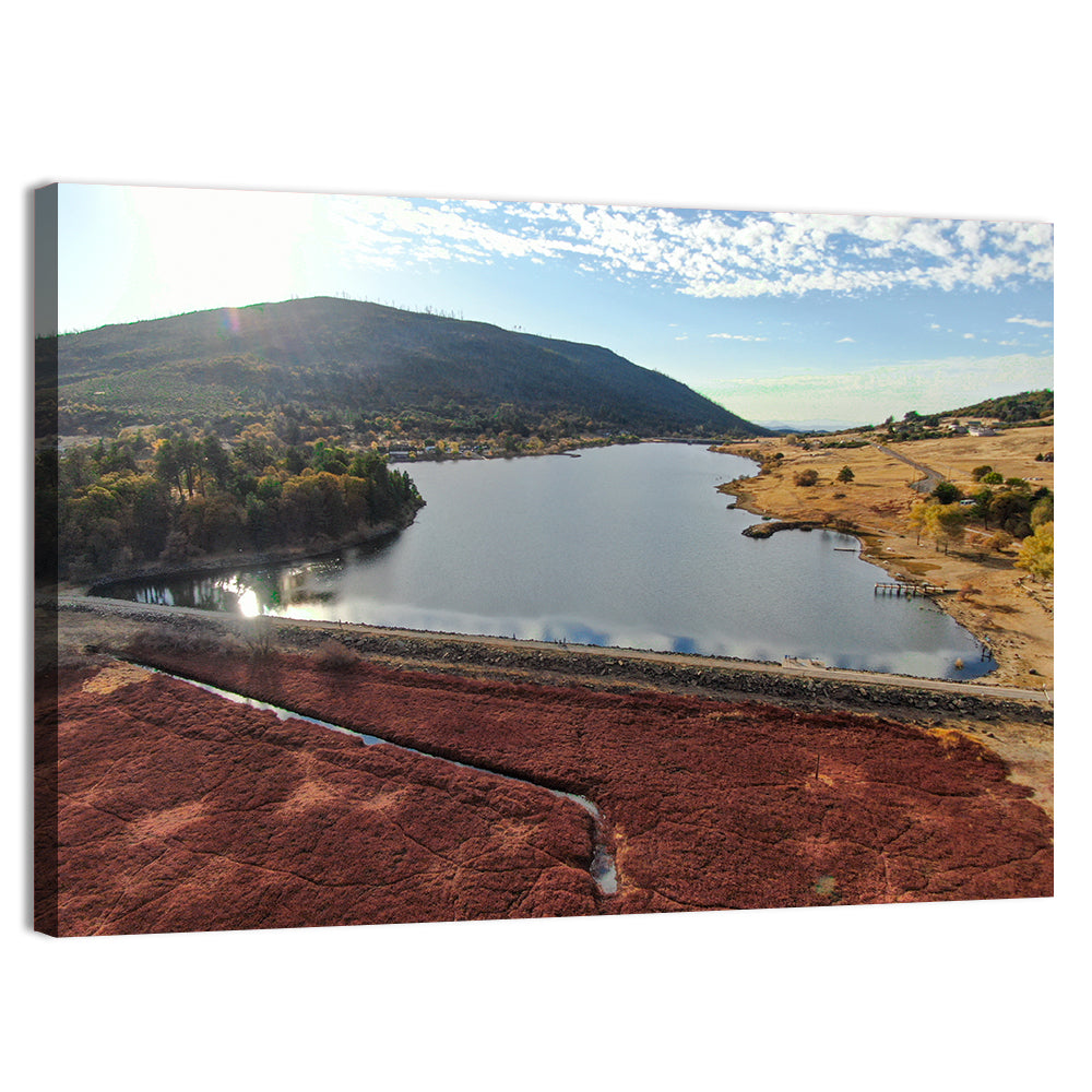 Lake Cuyamaca Aerial View Wall Art, canvas print, landscape