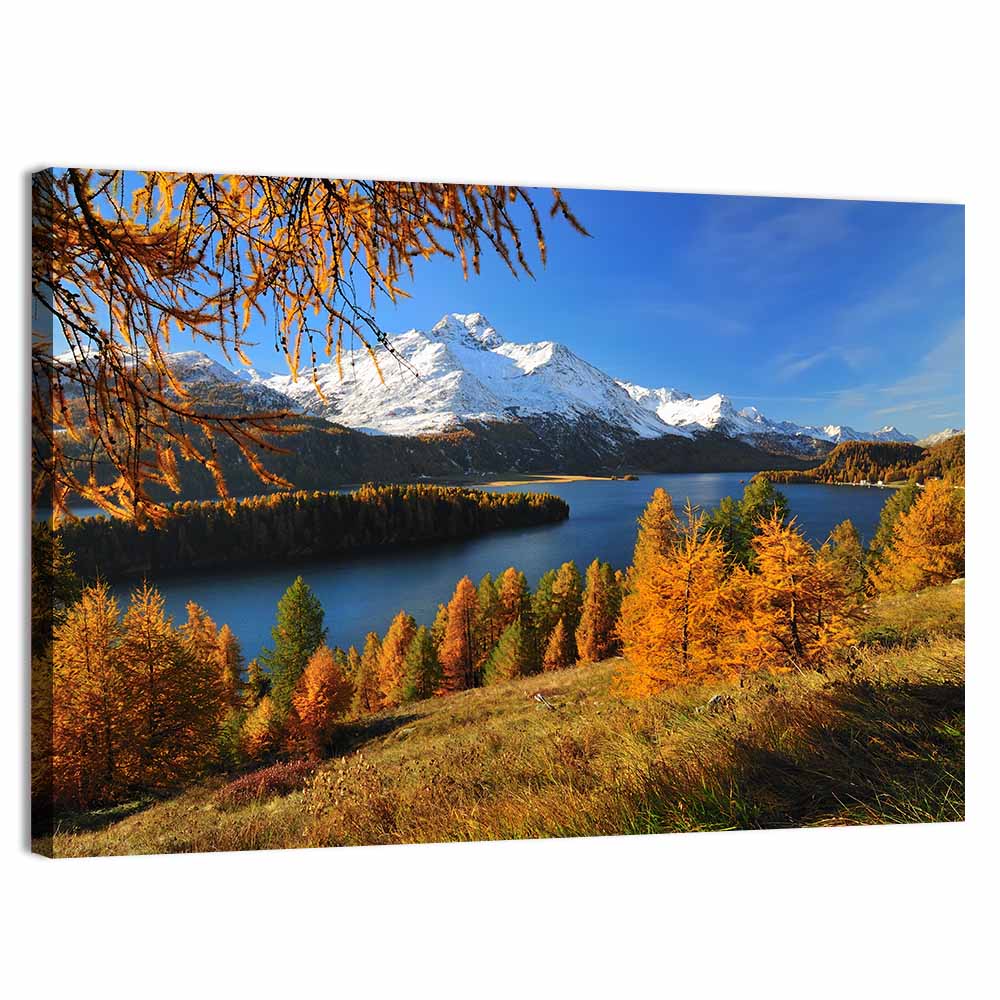 Silsersee Larches and Swiss Alps Wall Art, canvas print, landscape