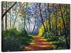 Sunlit Forest Alley Path Wall Art