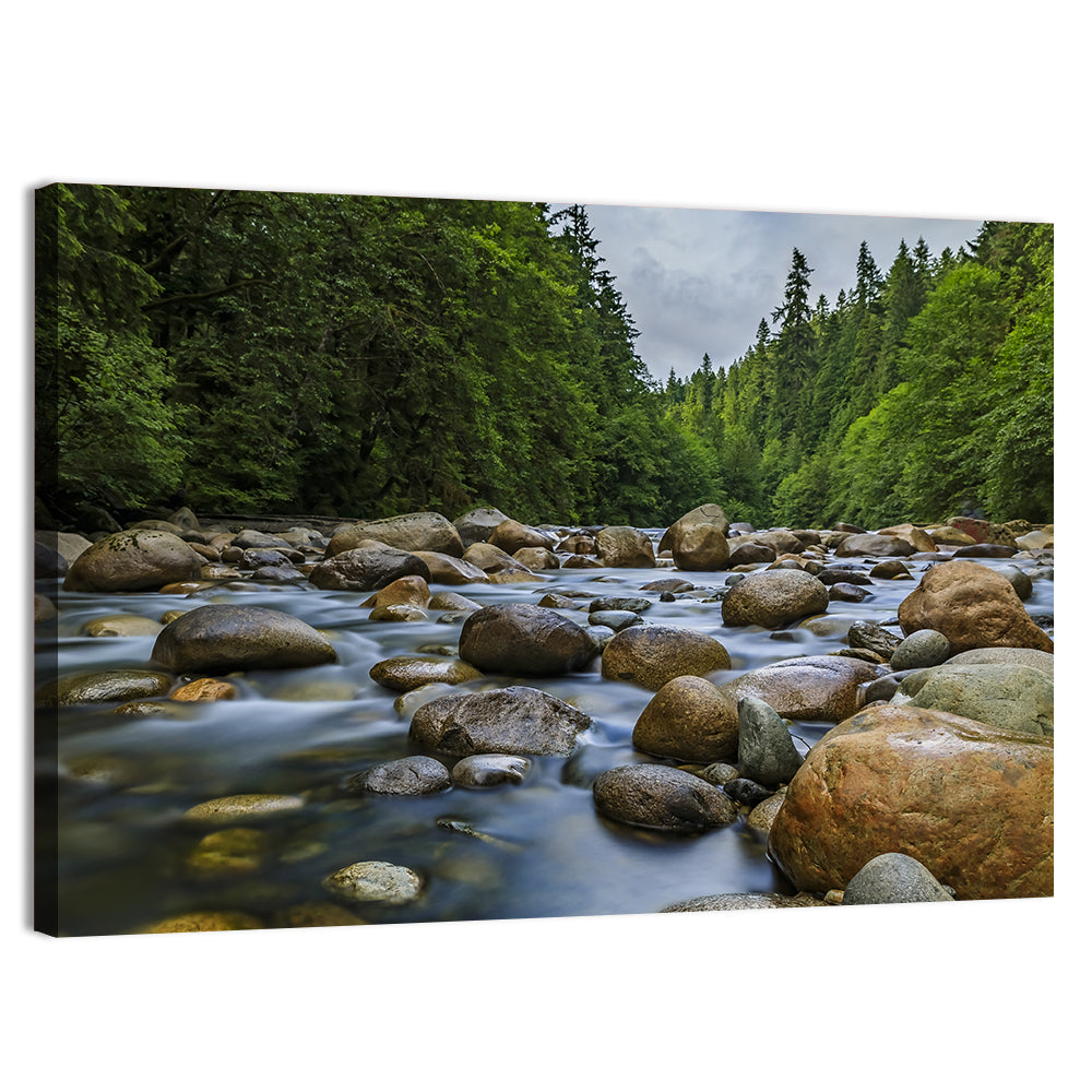 Lynn Canyon Riverbed Forest Wall Art