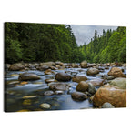 Lynn Canyon Riverbed Forest Wall Art