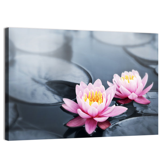 Pink Water Lilies Wall Art as a canvas print