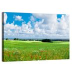 Summer Meadow with Poppies Wall Art