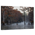 Caddo Lake Morning Mist Wall Art