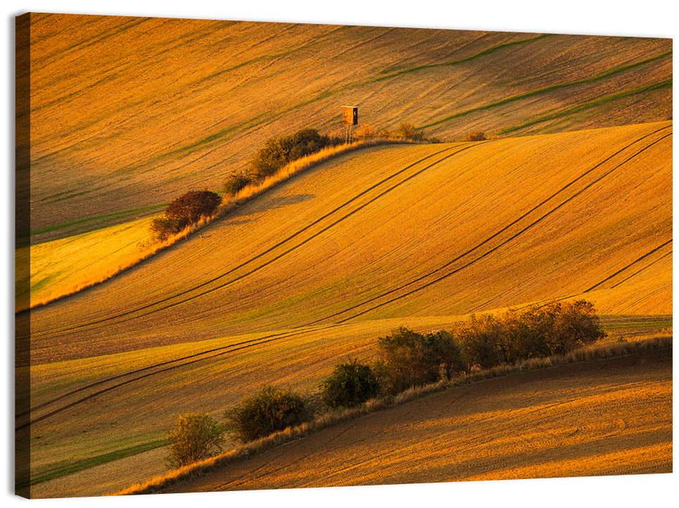 Golden Moravian Farm Tracks Wall Art