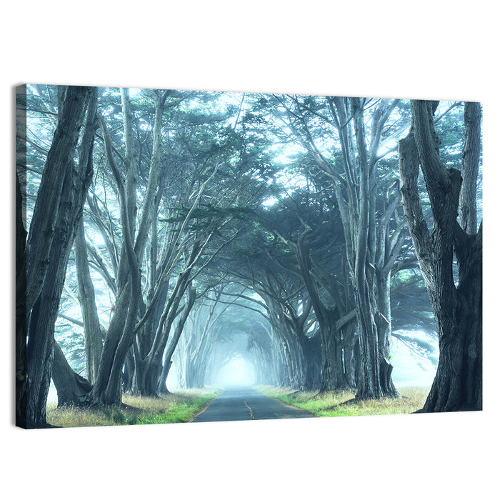 Foggy Cypress Tree Tunnel Wall Art as a canvas print