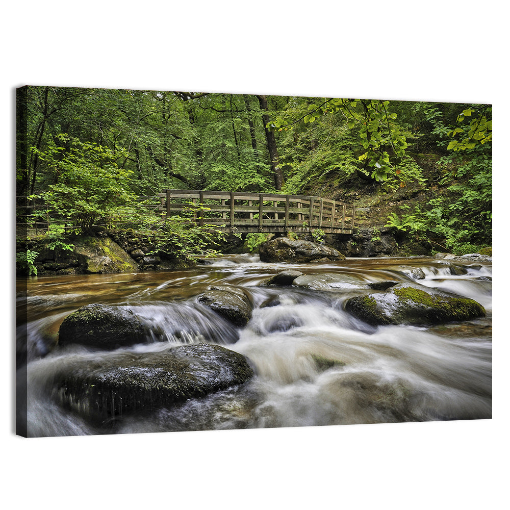 Stock Ghyll Footbridge Forest Stream Wall Art, canvas print, landscape