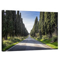 Avenue of Cypress Trees Wall Art
