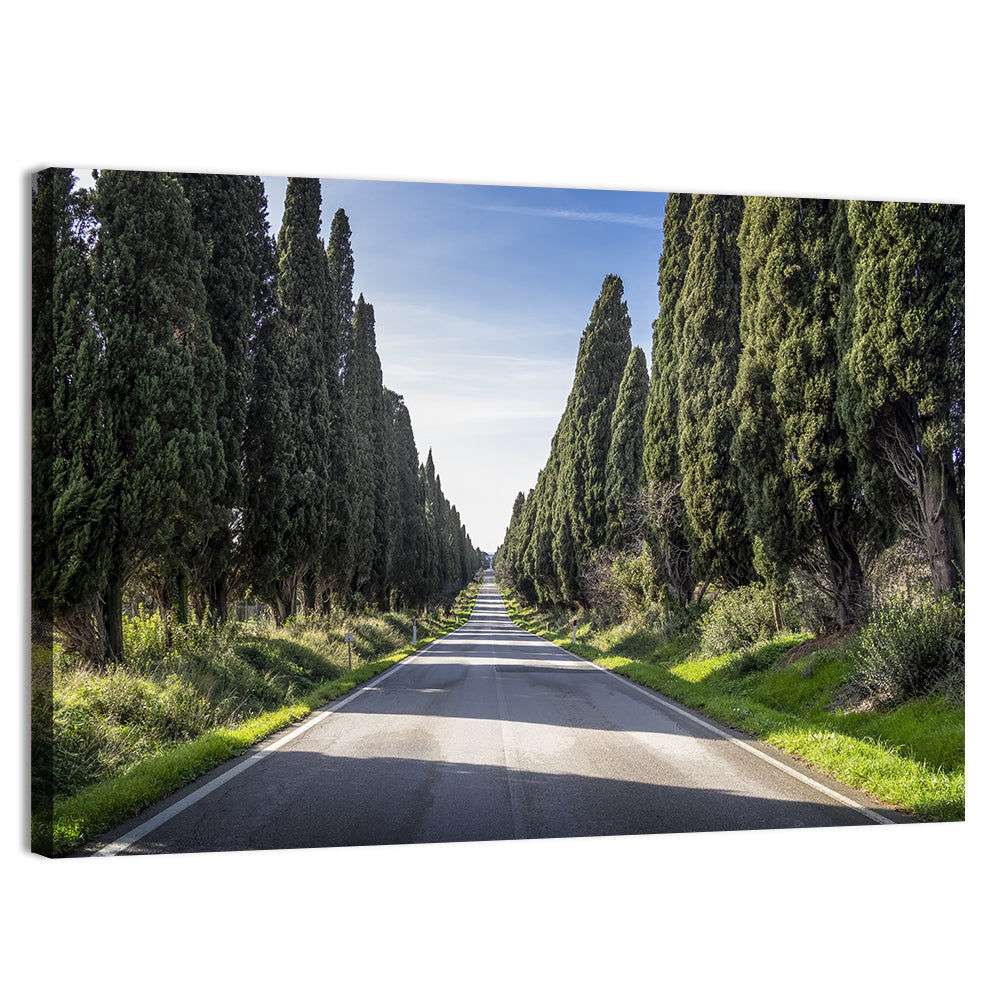 Avenue of Cypress Trees Wall Art