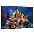 Belize Reef Sponge Scene Wall Art