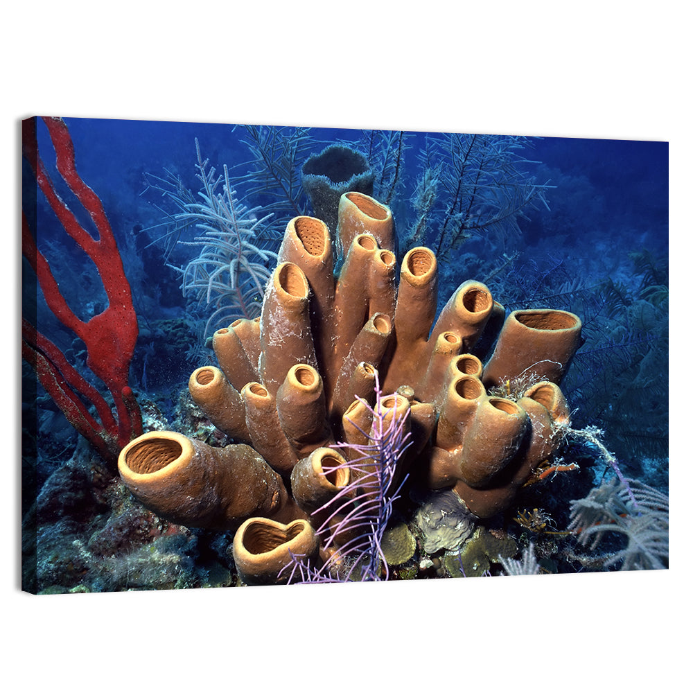Belize Reef Sponge Scene Wall Art