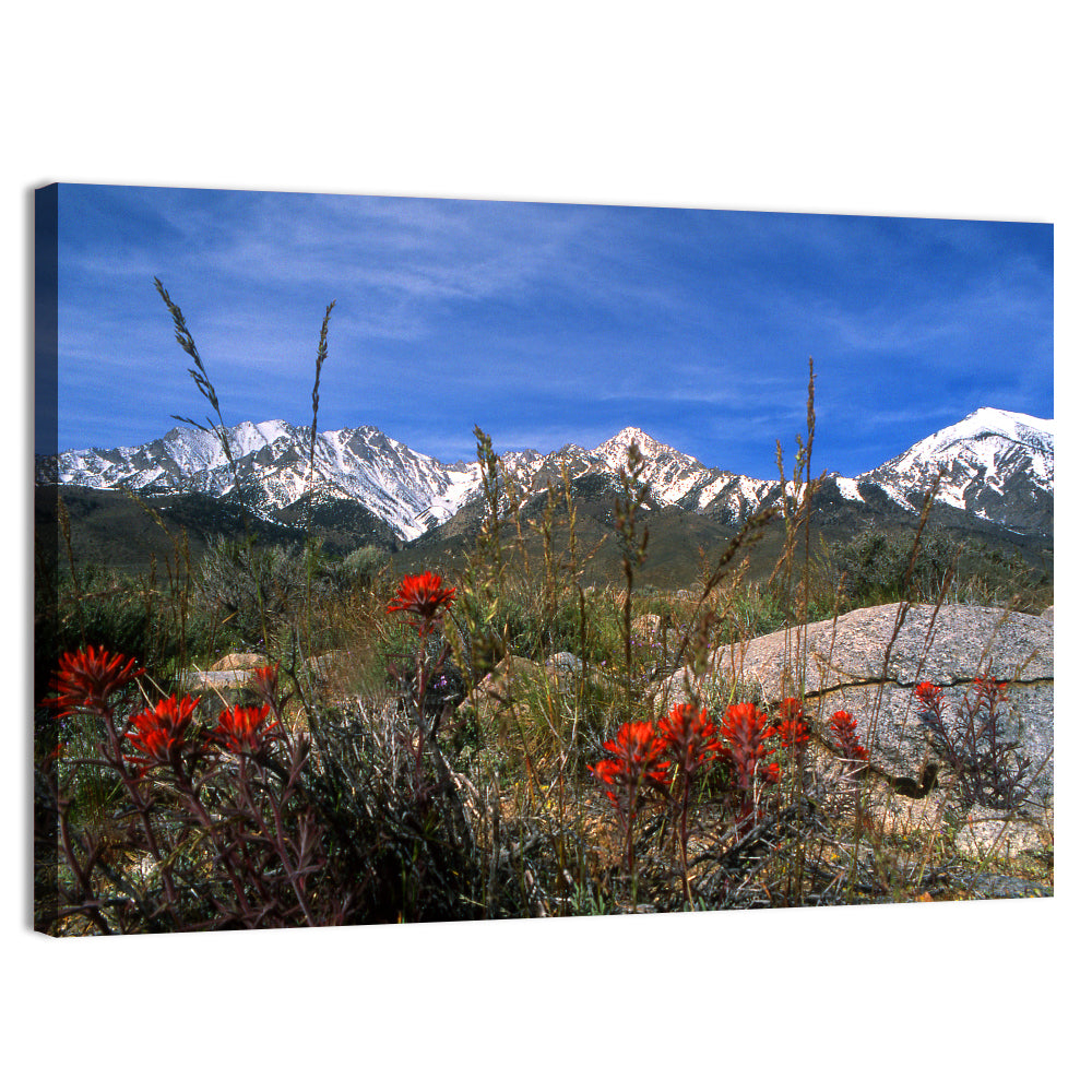 Sierra Nevada Wildflower Vista Wall Art