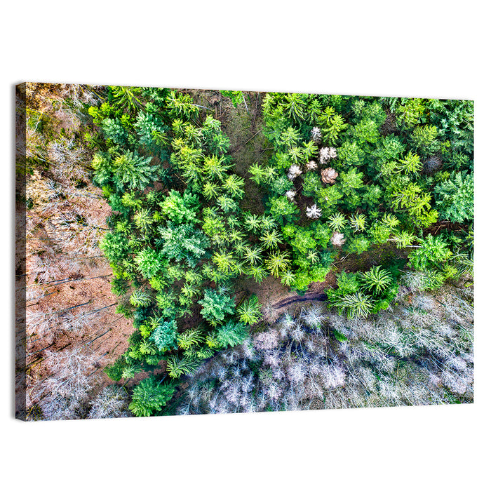 Vosges Mountains Wall Art as a canvas print