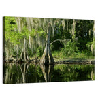 Bald Cypress and Great Blue Heron Wall Art