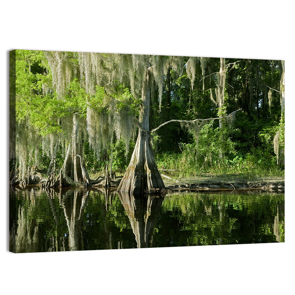 Bald Cypress and Great Blue Heron Wall Art