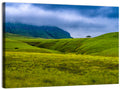Dragon Mountains with Lone Tree Wall Art