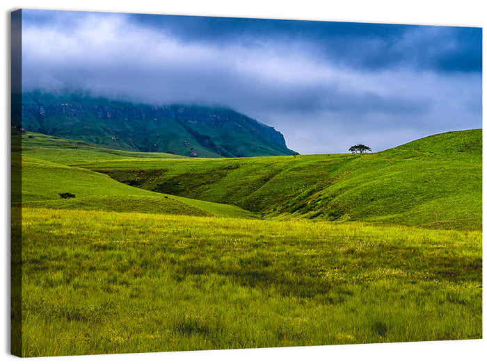 Dragon Mountains with Lone Tree Wall Art as a canvas print
