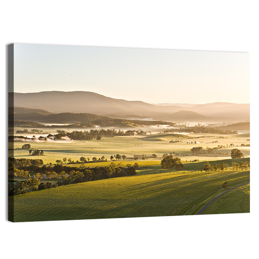 Yarra Valley Morning Mist Wall Art, canvas print, landscape