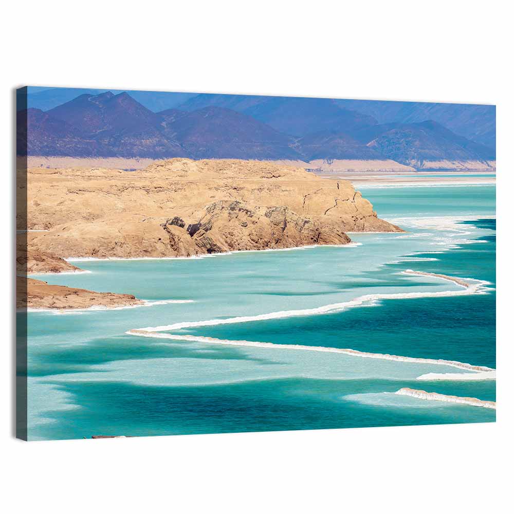 Lake Assal Coastline Wall Art