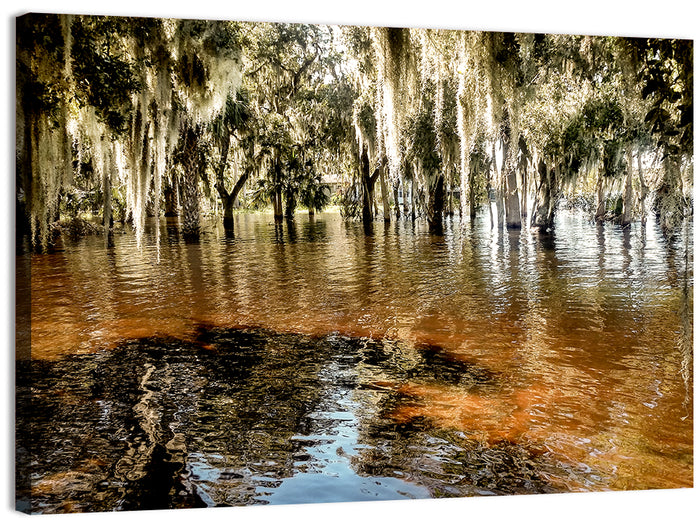 Spanish Moss Swamp at Lake Jesup Wall Art as a canvas print