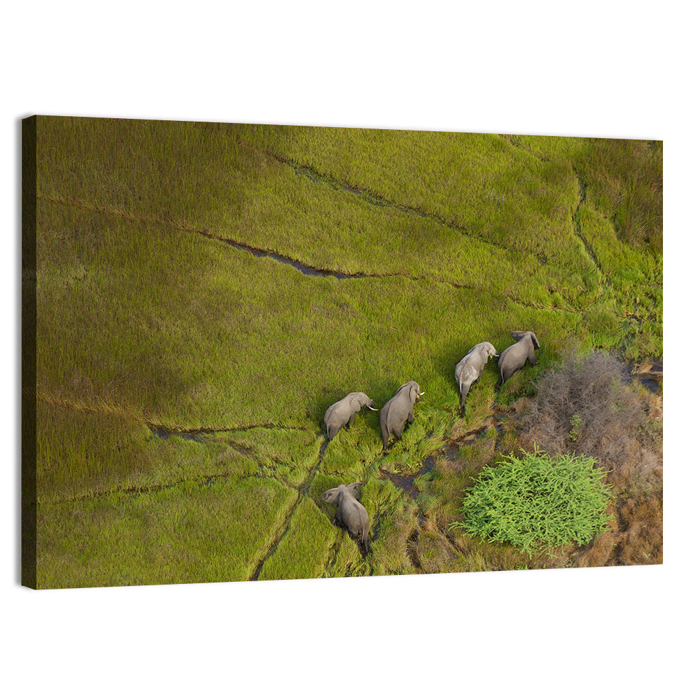 Aerial Herd of Elephants Wall Art, canvas print, landscape