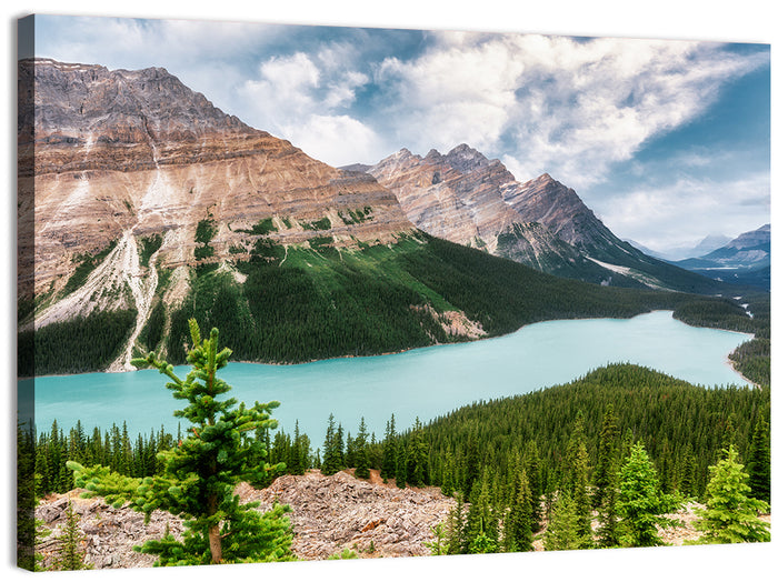 Peyto Lake Scenic View Wall Art as a canvas print