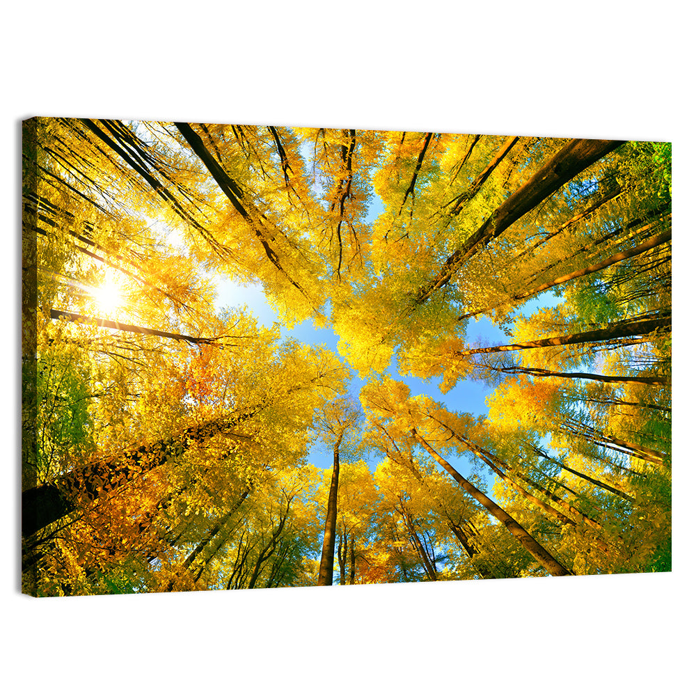 Golden Autumn Canopy Wall Art