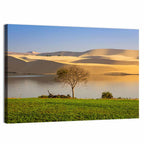 Mui Ne Lake and Sand Dunes Wall Art
