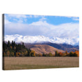 Ben Ohau Mountain Meadow Wall Art