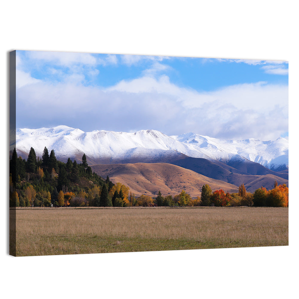 Ben Ohau Mountain Meadow Wall Art