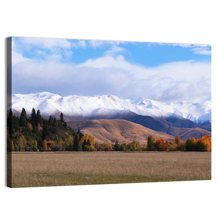 Ben Ohau Mountain Meadow Wall Art as a canvas print