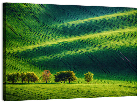 Southern Moravia Fields Wall Art