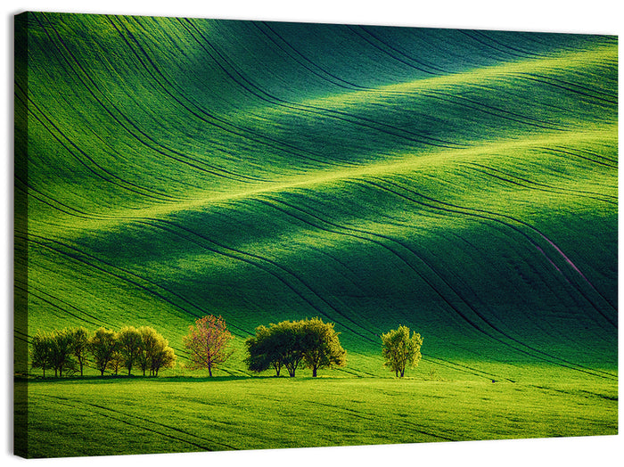 Southern Moravia Rolling Fields Wall Art as a canvas print