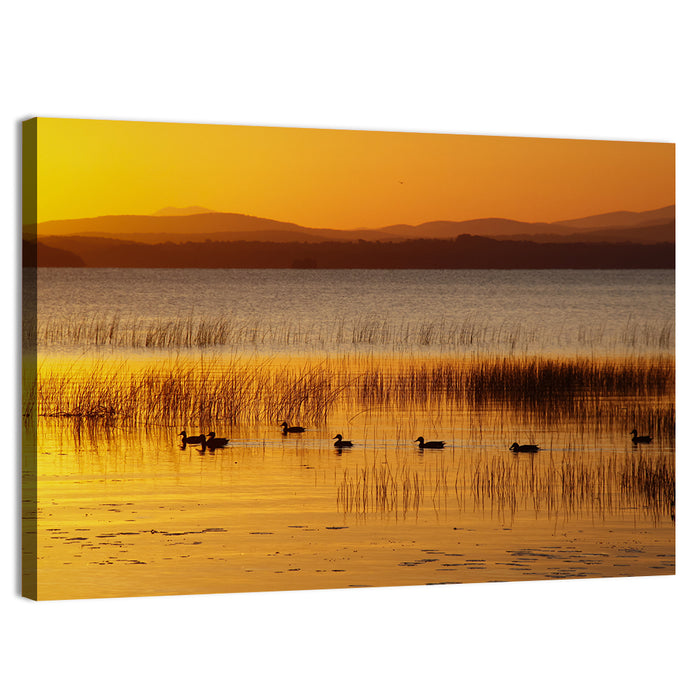 Lake Champlain Golden Sunrise Wall Art as a canvas print