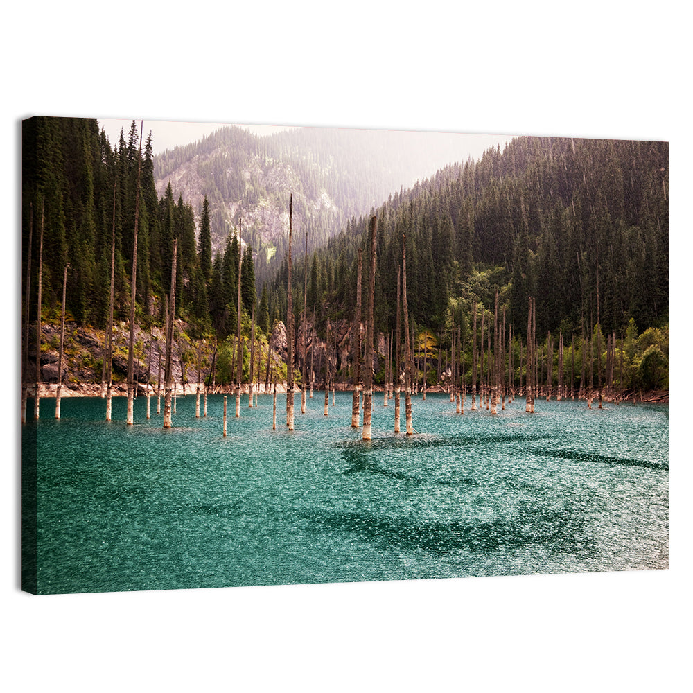 Kaindy Lake Submerged Spruces Wall Art, canvas print, landscape