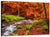 Autumn Forest Stream Wall Art