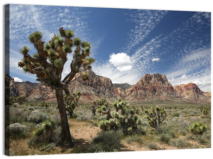 Red Rock Canyon Joshua Tree Wall Art