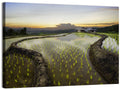 Pa Pong Peang Rice Terrace Wall Art