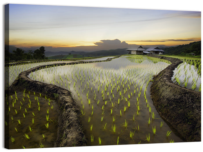 Pa Pong Peang Rice Terrace Wall Art as a canvas print